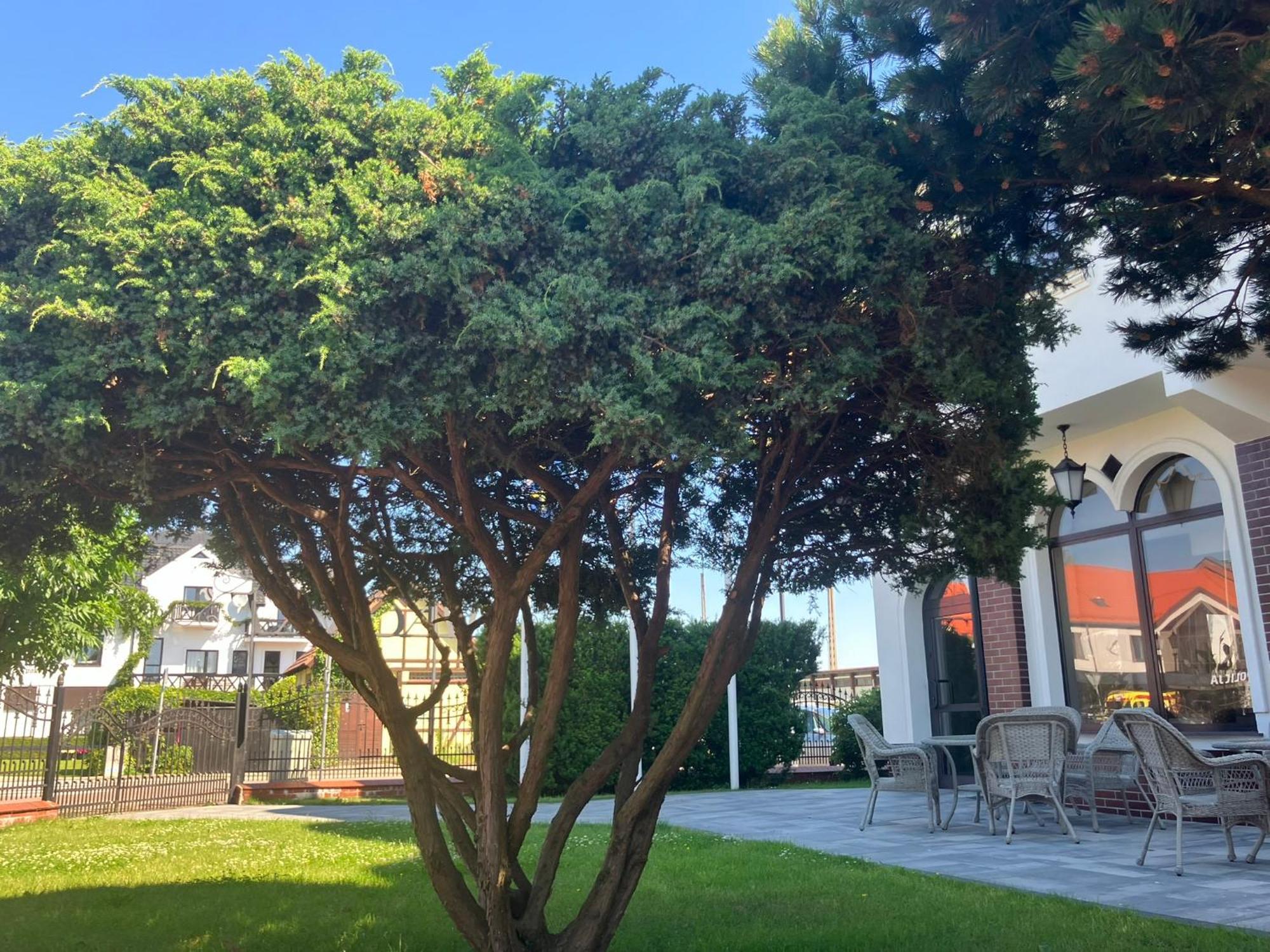 Osrodek Wczasowy Magnat Bed & Breakfast Леба Екстериор снимка